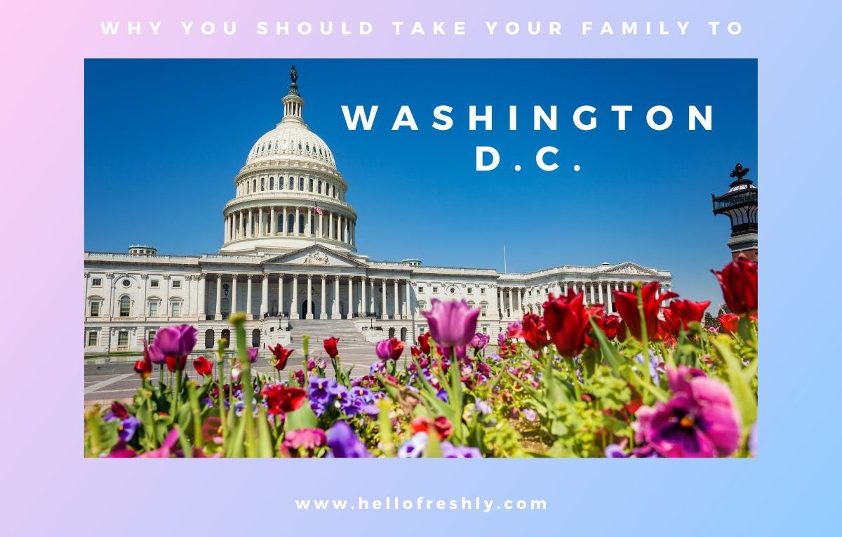 Looking-for-a-fun-but-educational-vacation-this-summer-Go-to-Washington-D.C.