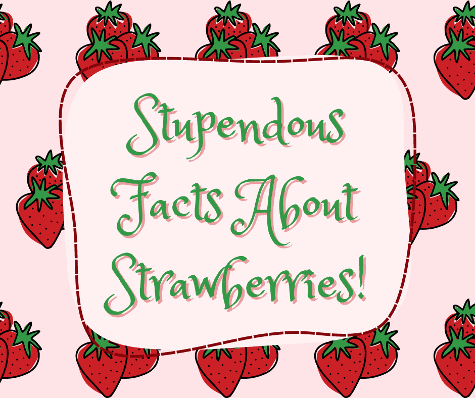 Strawberries are an ordinary fruit has more fascinating, historical facts than you think!
