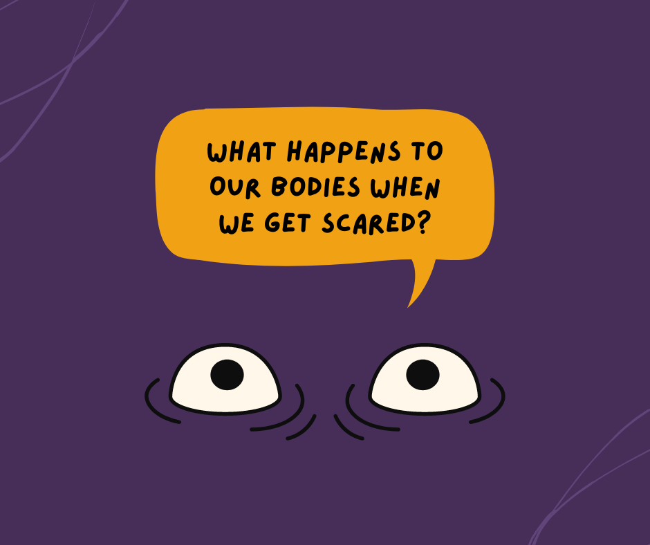 Our body goes through a lot of things when it gets scared.